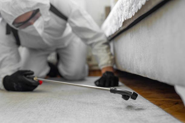 Professional Bed Bug Control technician working in Temple Hills, MD