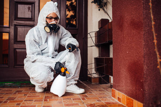 Reliable Bed Bug Control contractor in Temple Hills, MD by Nex Pest Control