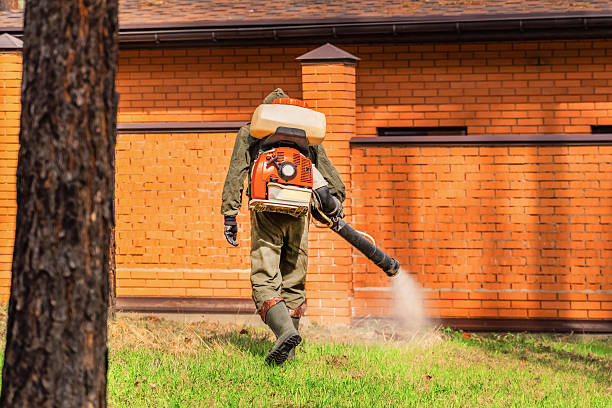 Trusted Termite Control service in Temple Hills, MD - Nex Pest Control
